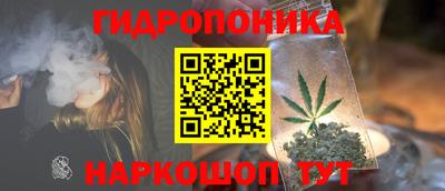 ALPHA PVP Кимры